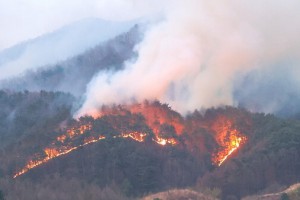 맹렬한 기세로 타오르는 산청산불..