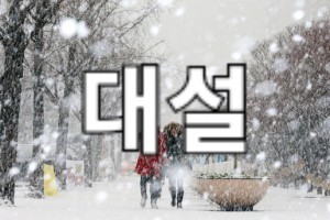 대설