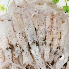 여수 호래기(꼴뚜기)